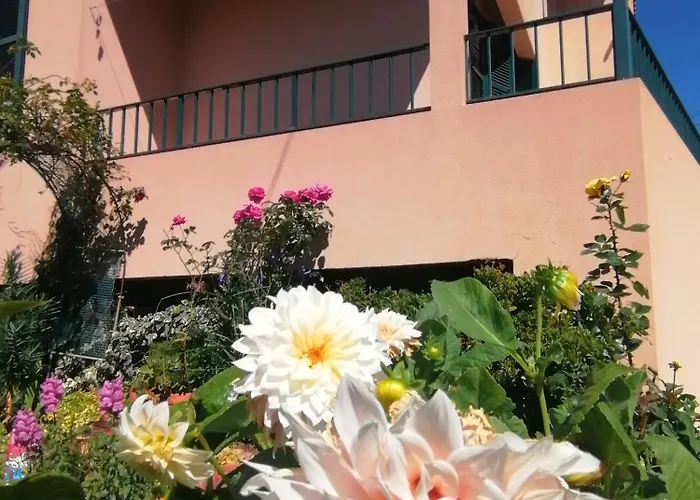 Abrigo Do Monte Ribeira Brava