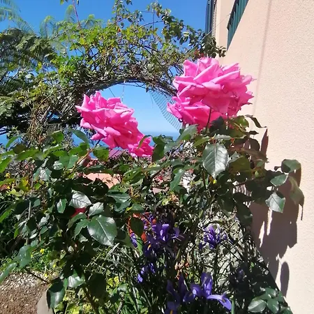 Semesterbostad Abrigo Do Monte *