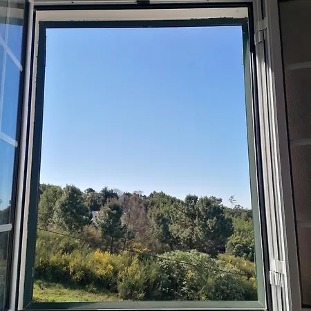 Abrigo Do Monte Ribeira Brava