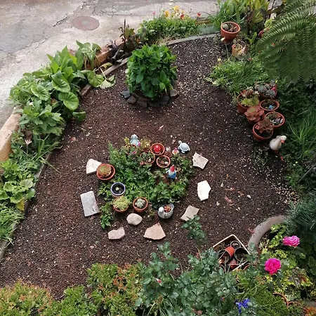 Abrigo Do Monte Ribeira Brava