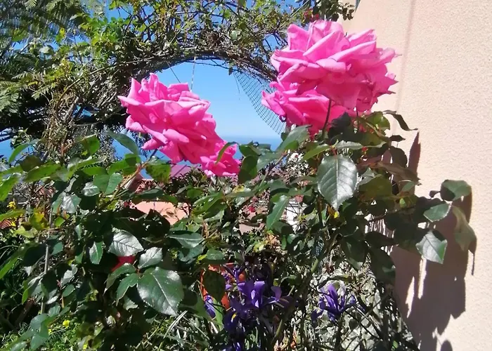 בית נופש Abrigo Do Monte *