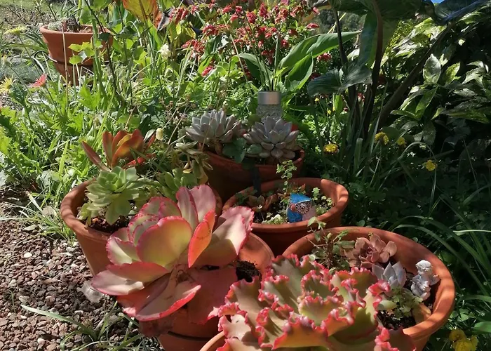 Abrigo Do Monte Casa de Férias